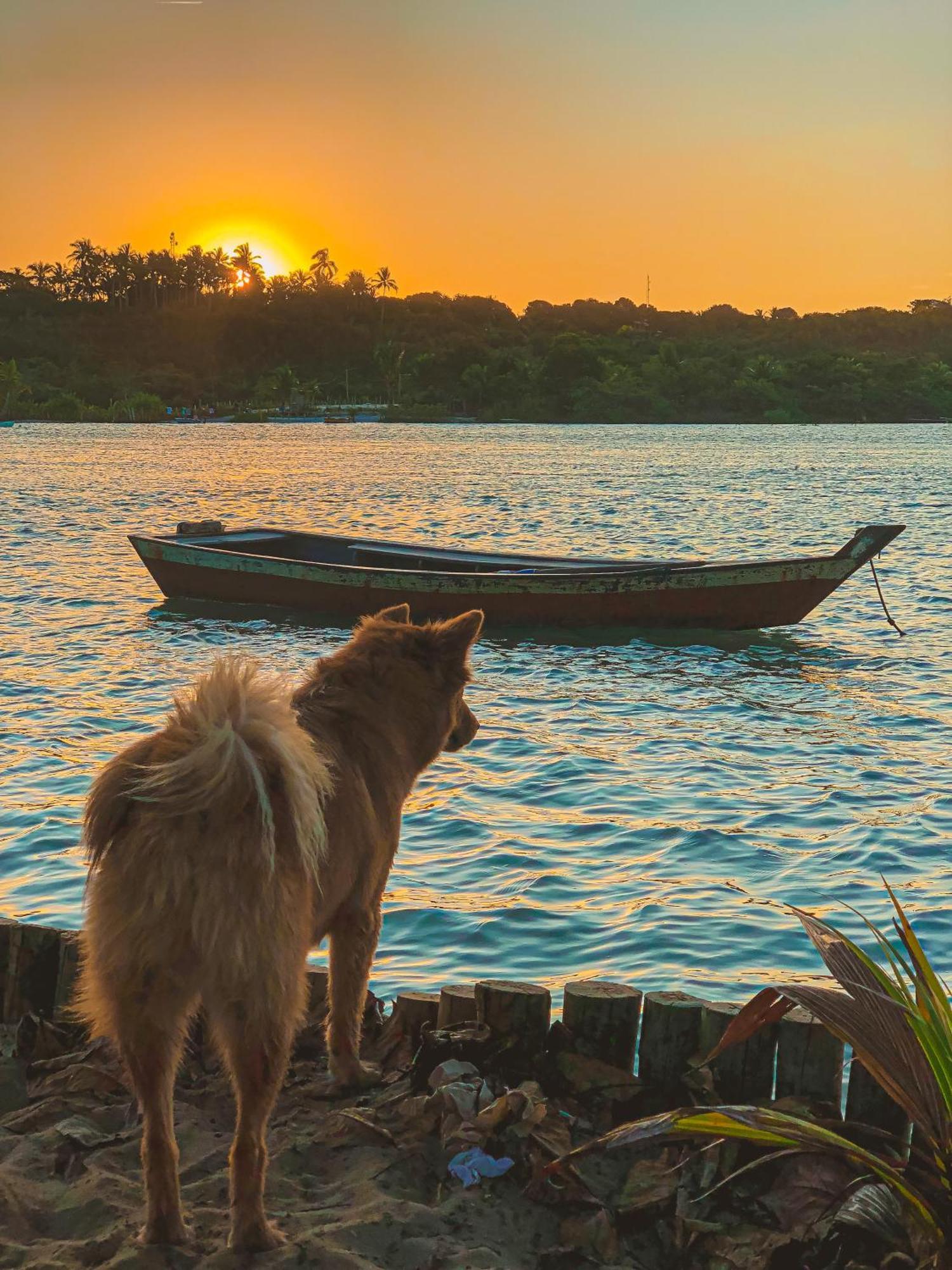 Pousada Villa Esperanca - Xando - Caraiva Ba Екстер'єр фото
